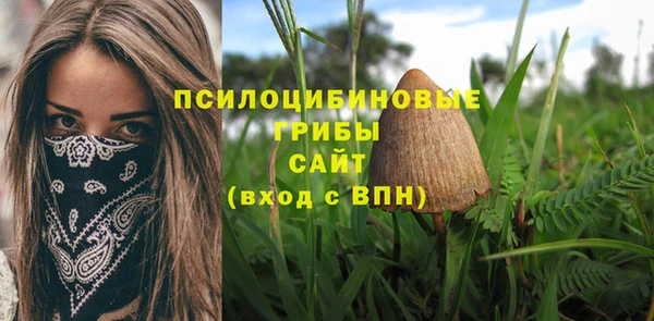 тгк Тында