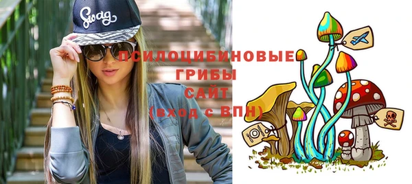 прущие грибы Вязники