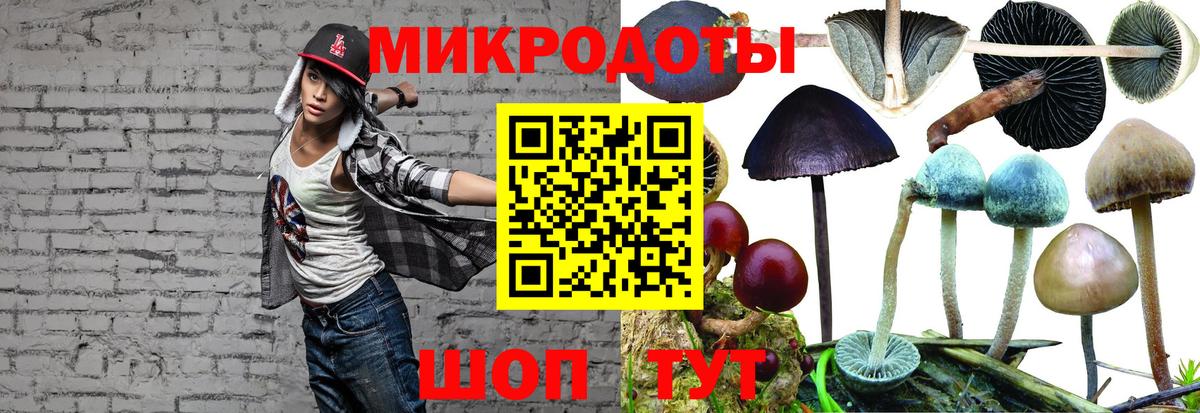 Галлюциногенные грибы MAGIC MUSHROOMS Гагарин