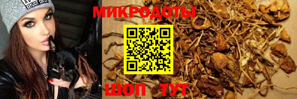 Псилоцибиновые грибы Psilocybe  Псилоцибиновые грибы Cubensis  Гагарин  Вход с VPN 